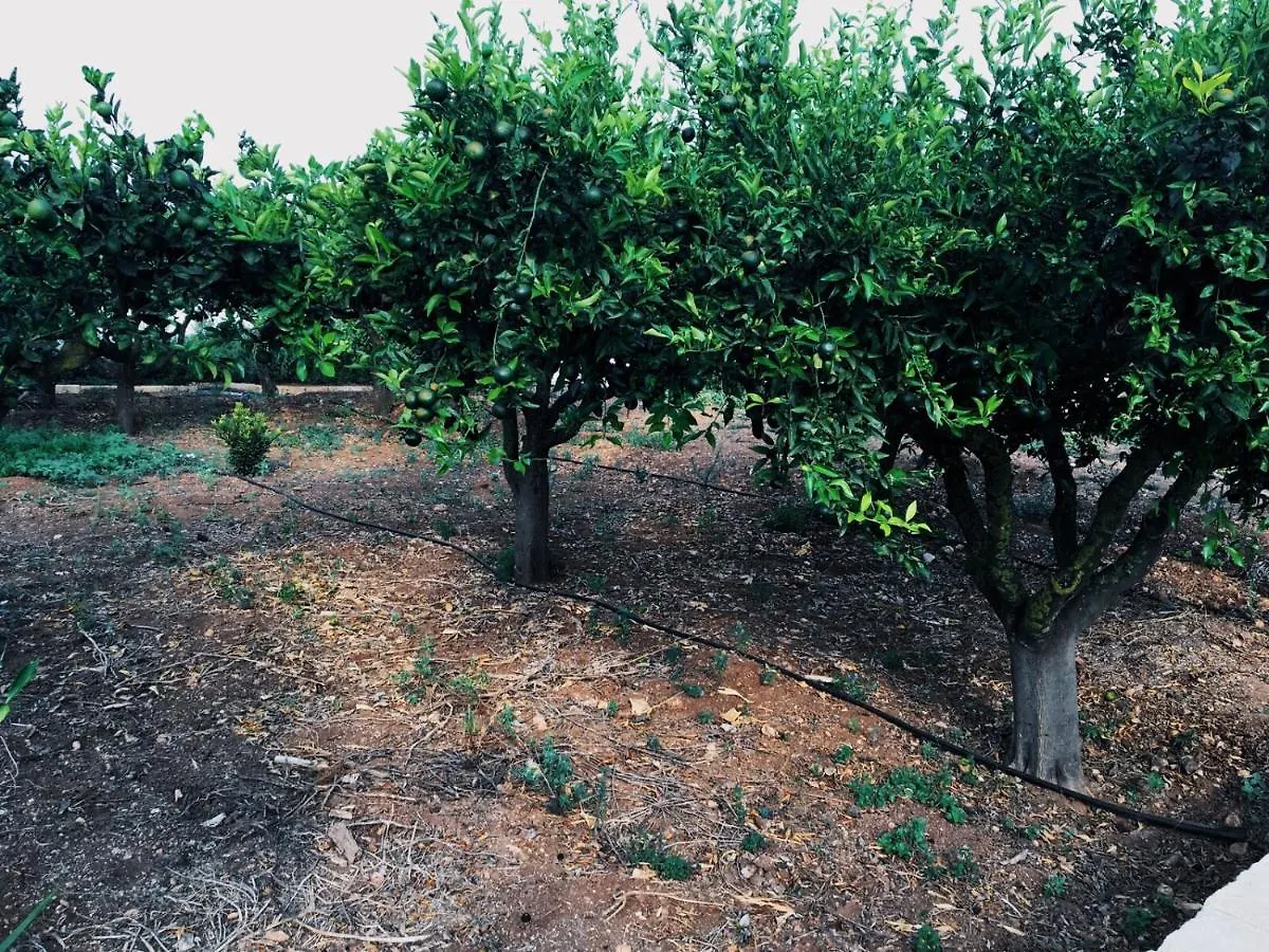 B&B Zagara Marsala 0*,  Italy